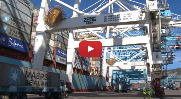 crane-operator crane-operator